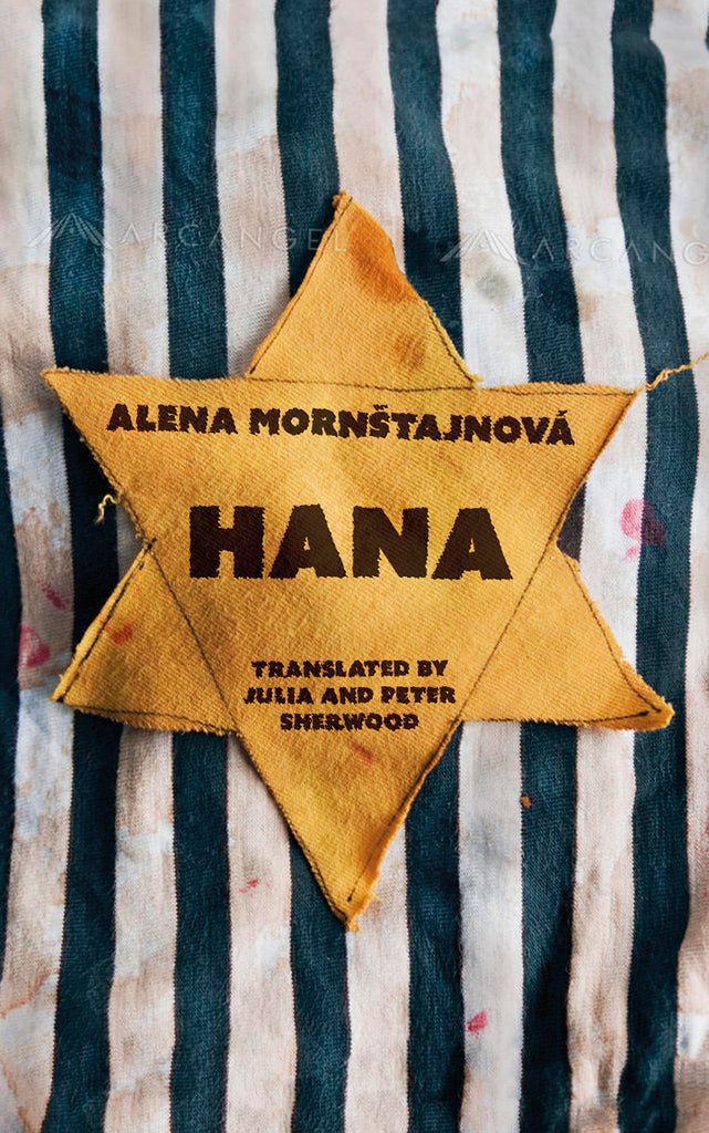 Wales Arts Review reviews Hana by Alena Mornštajnová