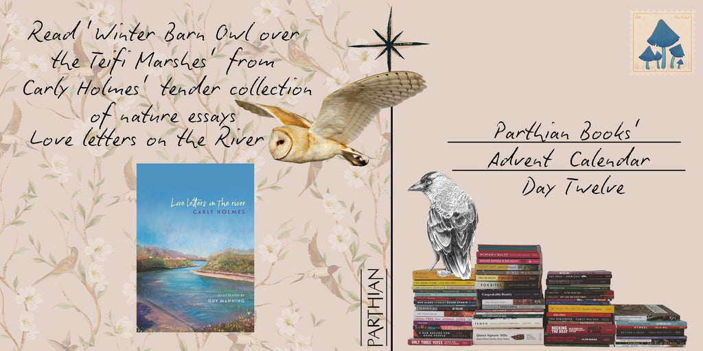 Parthian's Advent Calendar - Day Twelve