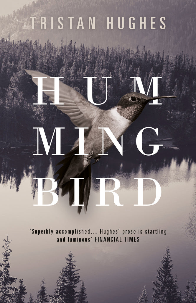 Hummingbird Review Round-up