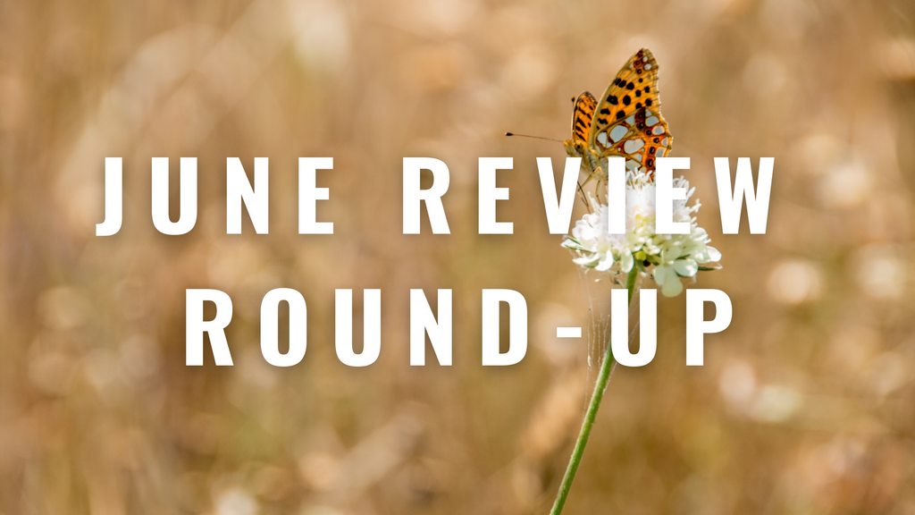 June Review Round-Up