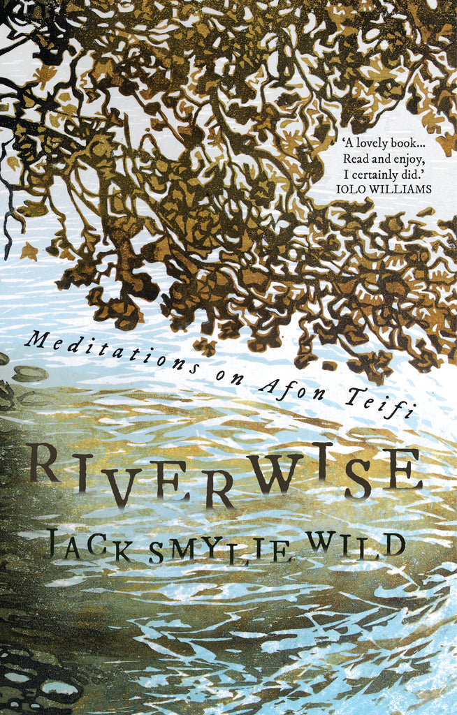 "... a fine, absorbing and wonderfully attentive book." Nation.Cymru reviews Riverwise