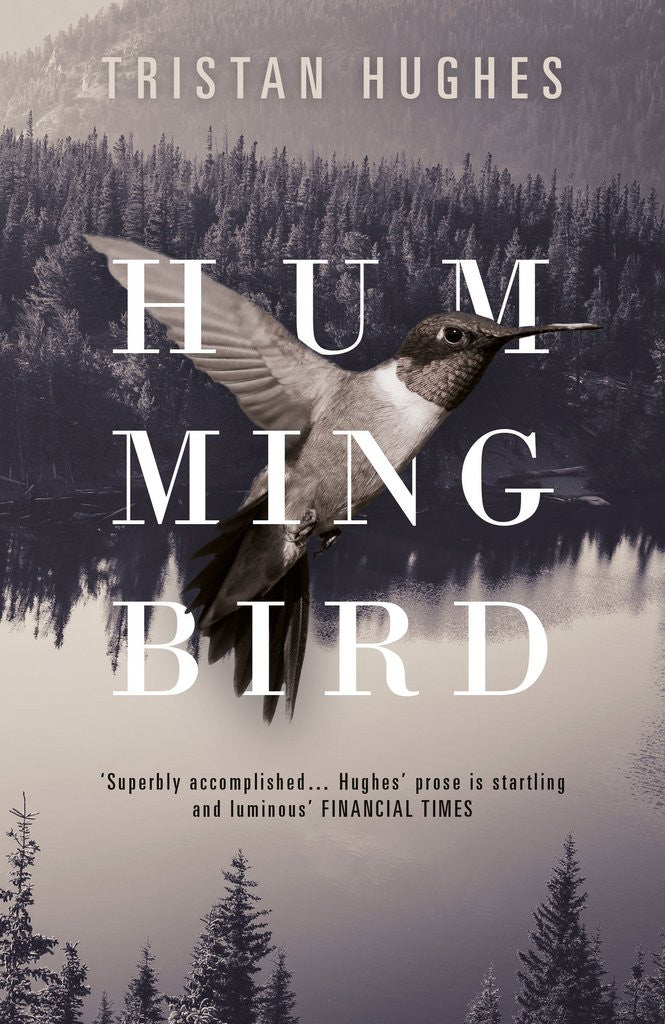 Book Launch and Reviews: Tristan Hughes' new novel 'Hummingbird'
