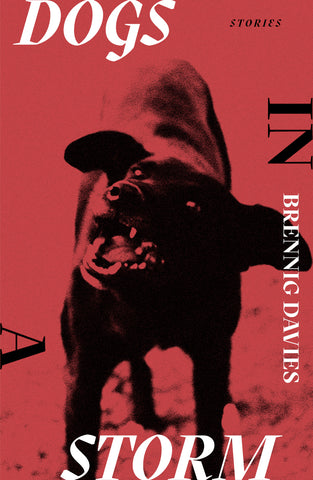 Dogs in a Storm (Hardback)