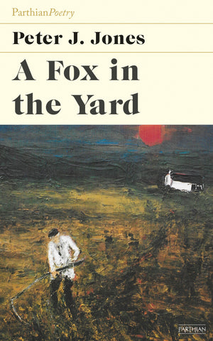 A Fox in the Yard